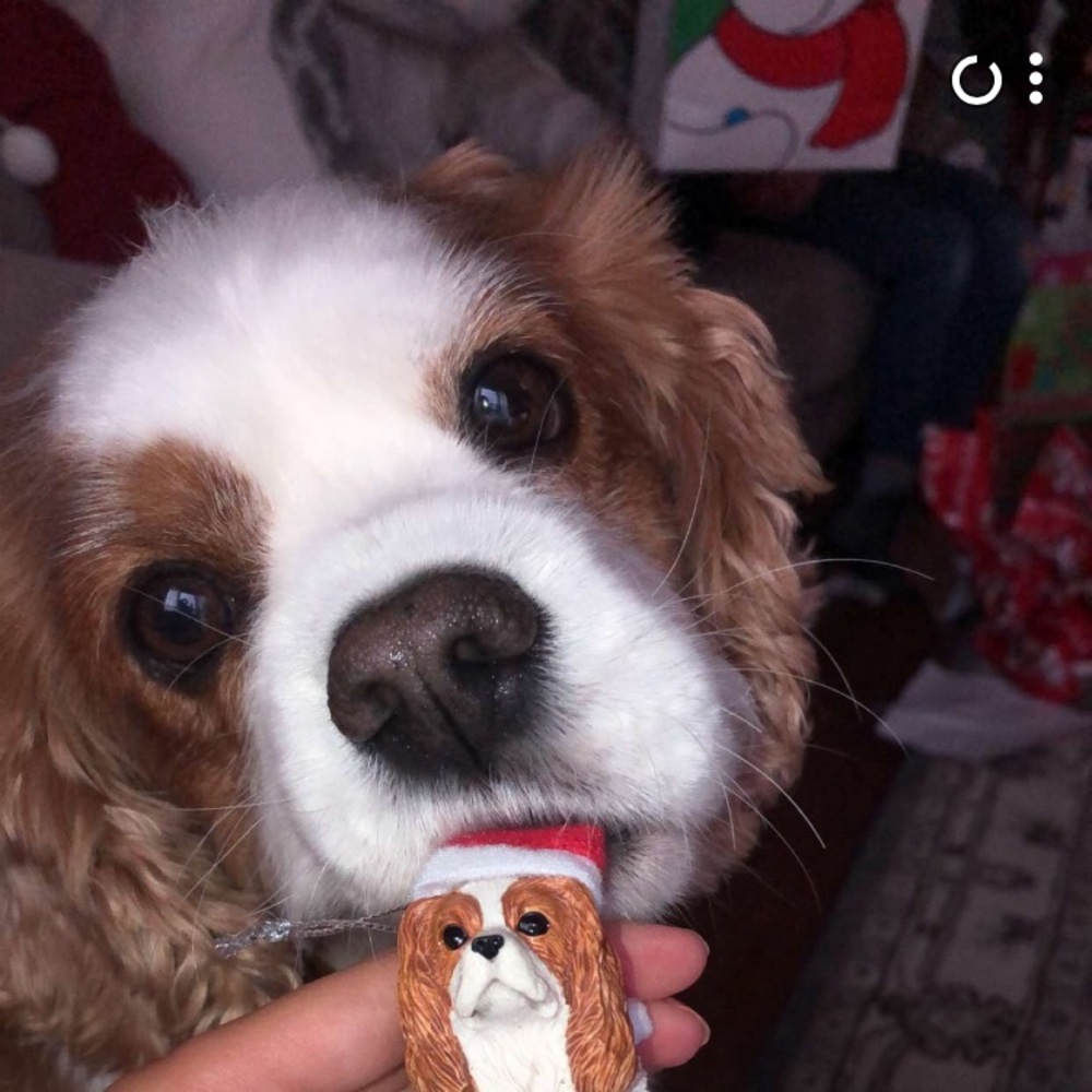 Meet your Posher, Emma